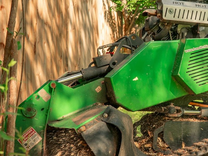Stump grinder cutting a stump below grade
